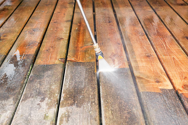 Best Solar Panel Cleaning  in Albany, MO
